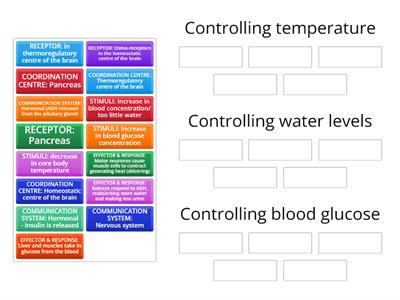 Homeostasis examples