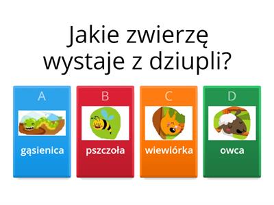 Ćwiczymy spostrzegawczość