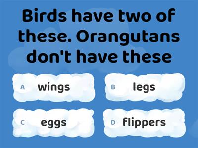 Animals Quiz