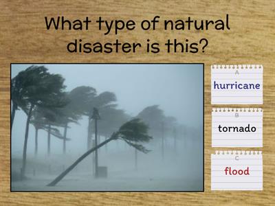 Natural Disasters