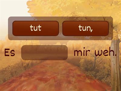 BFP A1.2. Lektion 11 tun/tut