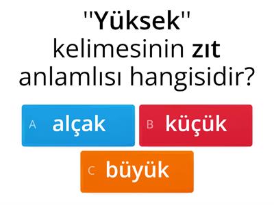 zıt  anlam test 