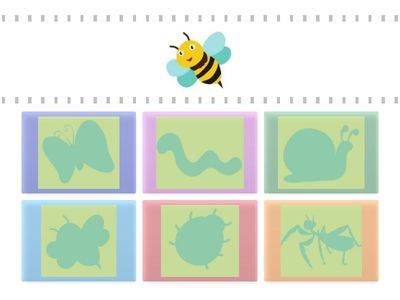 Тени тіні комахи увага внимание