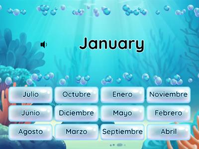 MONTHS of the YEAR - PART II