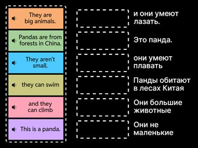 AS1 U5 panda WB p 55