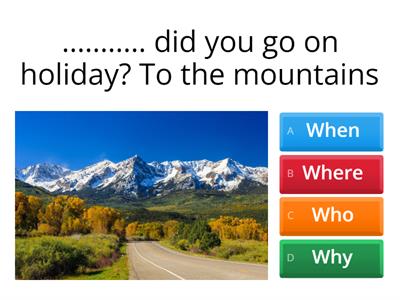 WH questions - past simple