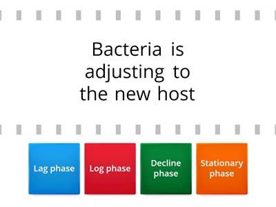 C03. Bacteriology (3) - Phases of Growth 2