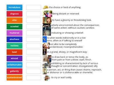 The Outsiders Chapter 1,2,3 Vocabulary