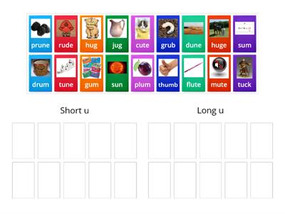 Barton Level 6.1 Practice  U with and without Silent e