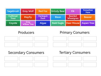 Interpreting Food Web - Energy Pyramid