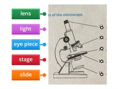 microscope