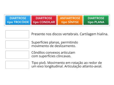 ARTICULAÇÕES