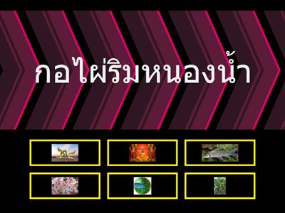 จับคู่