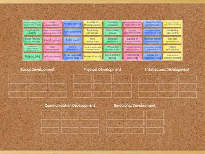 Child Development - SPICE sorting activity