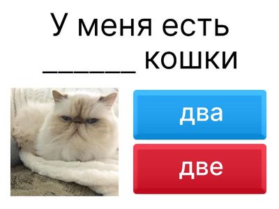 Один/одна/одно, два/две