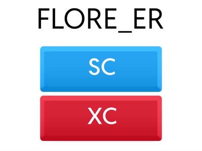  JOGO ORTOGRÁFICO XCou SC