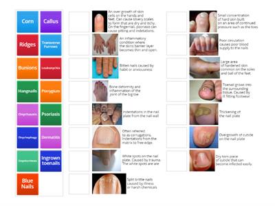 Manicure & Pedicure - Common Conditions