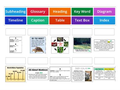 Informational Text Features Practice