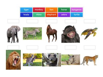 HWG_B5_U4_單字_第3關_圖文配對