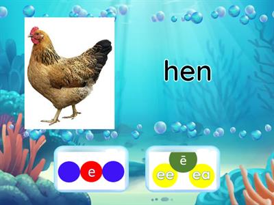 Short or Long E Sound T/F