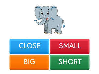 Adjective Selection Quiz