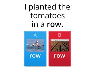 Homograph Sentences (in context)