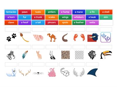 ANIMALS DESCRIPTION match up