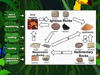 Rock Cycle 