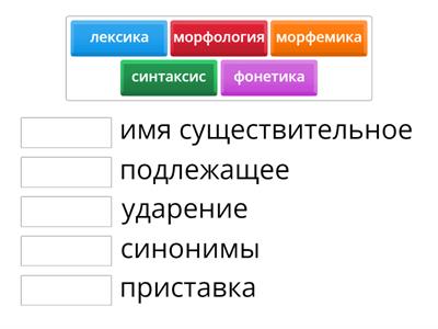 Лингвистика