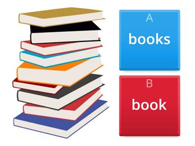 Singular and Plural Nouns