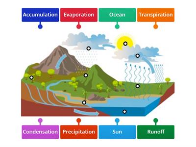 Water Cycle Graphic Organizer