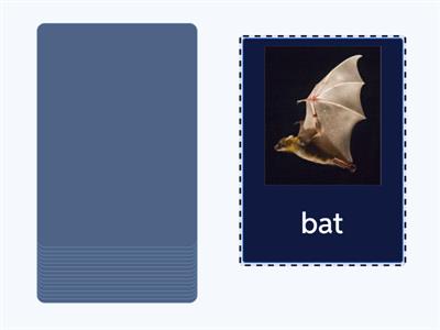 Speaking cards - Australian animals