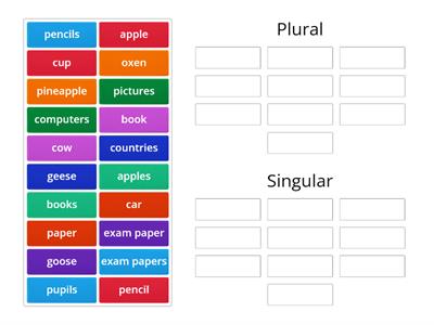 Plural and Singular Nouns