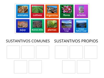 SUSTANTIVOS COMUNES Y PROPIOS