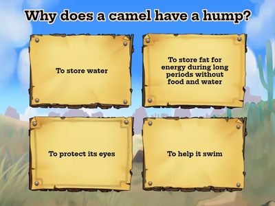 P.6 Science-Adptations(2)