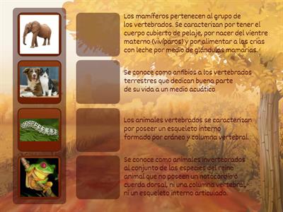 CLASIFICACIÓN DE LOS ANIMALES 