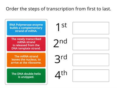 Transcription