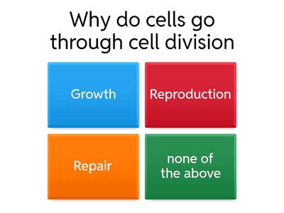 Cell Cycle and Cancer