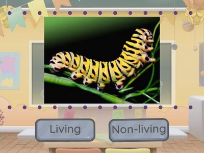 Living or Non-living? (1st Grade Benchmark Unit 2)