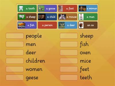 Irregular Plural Nouns