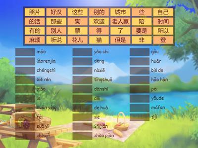 Chinese vol2.1 - "My pets"