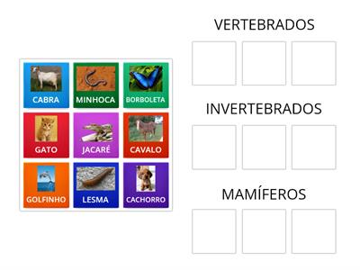 Classificação dos Animais 