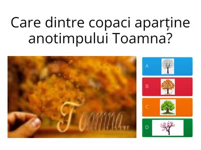 Toamna