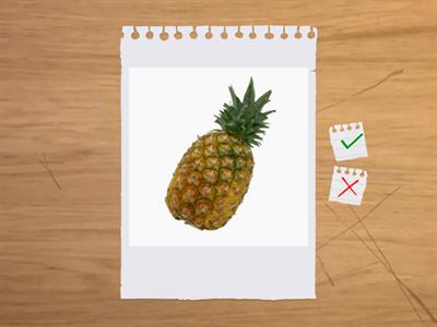 Fruits and Vegetables 