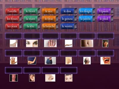 Dynamo 2 M2.1 Touche!