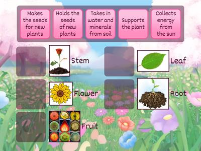 Parts of a Plant Jobs