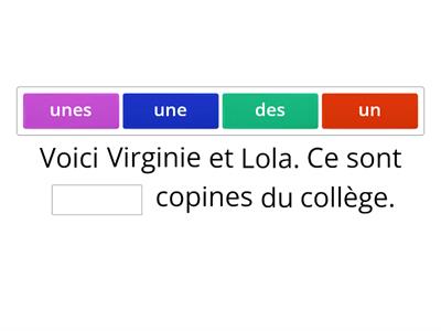 Les articles indéfinis