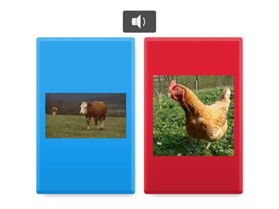 ZVUKY DOMÁCÍCH ZVÍŘAT