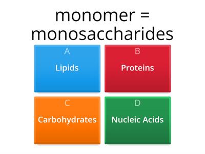 Biomolecules Practice Questions (Function)