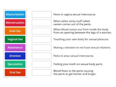 Puberty Education Vocabulary Match Up (Young Adults)